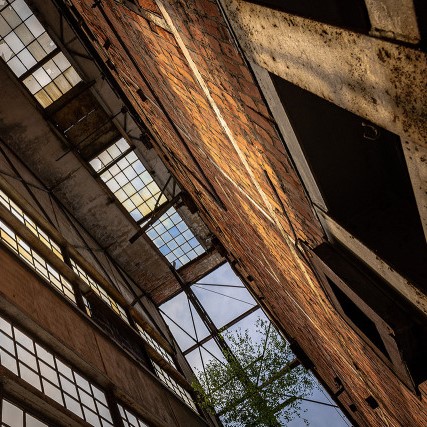 photo from the inside of an abandoned industrial building, looking up at the clear sky through the crumbling skylights. the walls are covered in rust