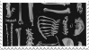 a stamp. various bones laid out on a black background